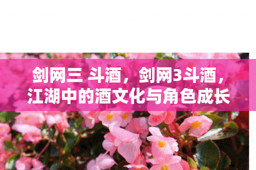 剑网三 斗酒,剑网3斗酒,江湖中的酒文化与角色成长 剑网三 斗酒,剑网3斗酒,江湖中的酒文化与角色成长