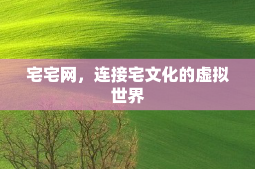 宅宅网,连接宅文化的虚拟世界 宅宅网,连接宅文化的虚拟世界