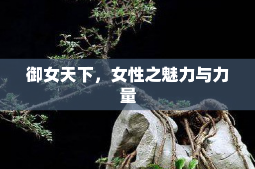 御女天下，女性之魅力与力量