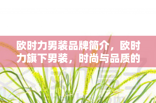 欧时力男装品牌简介,欧时力旗下男装,时尚与品质的完美融合 欧时力男装品牌简介,欧时力旗下男装,时尚与品质的完美融合