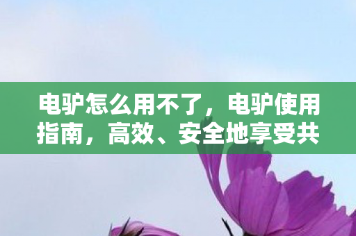 电驴怎么用不了,电驴使用指南,高效、安全地享受共享出行 电驴怎么用不了,电驴使用指南,高效、安全地享受共享出行