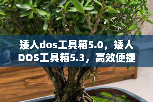 矮人dos工具箱5.0,矮人DOS工具箱5.3,高效便捷的系统维护利器 矮人dos工具箱5.0,矮人DOS工具箱5.3,高效便捷的系统维护利器