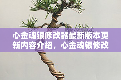 心金魂银修改器最新版本更新内容介绍,心金魂银修改器,解锁游戏新体验,合法合规是关键 心金魂银修改器最新版本更新内容介绍,心金魂银修改器,解锁游戏新体验,合法合规是关键