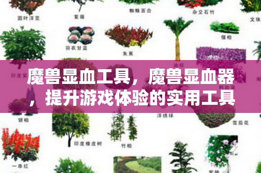 魔兽显血工具,魔兽显血器,提升游戏体验的实用工具 魔兽显血工具,魔兽显血器,提升游戏体验的实用工具