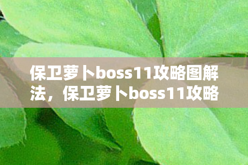 保卫萝卜boss11攻略图解法，保卫萝卜boss11攻略，策略与技巧的全面解析