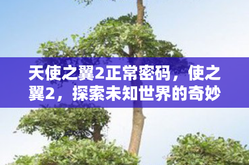 天使之翼2正常密码,使之翼2,探索未知世界的奇妙之旅 天使之翼2正常密码,使之翼2,探索未知世界的奇妙之旅