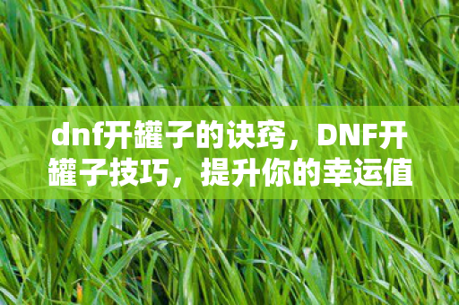 dnf开罐子的诀窍,DNF开罐子技巧,提升你的幸运值 dnf开罐子的诀窍,DNF开罐子技巧,提升你的幸运值