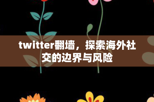 twitter翻墙,探索海外社交的边界与风险 twitter翻墙,探索海外社交的边界与风险