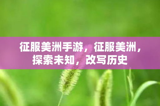 征服美洲手游,征服美洲,探索未知,改写历史 征服美洲手游,征服美洲,探索未知,改写历史