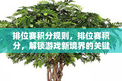 排位赛积分规则,排位赛积分,解锁游戏新境界的关键 排位赛积分规则,排位赛积分,解锁游戏新境界的关键