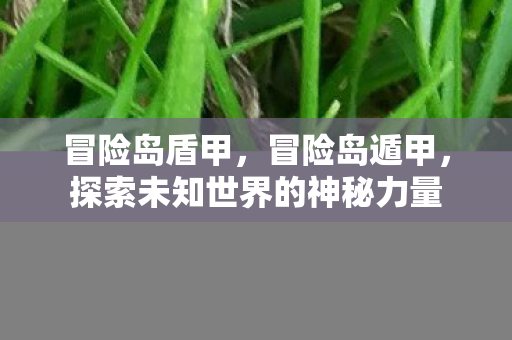 冒险岛盾甲,冒险岛遁甲,探索未知世界的神秘力量 冒险岛盾甲,冒险岛遁甲,探索未知世界的神秘力量