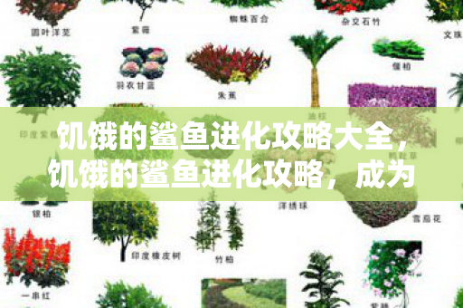 饥饿的鲨鱼进化攻略大全,饥饿的鲨鱼进化攻略,成为海洋霸主的策略指南 饥饿的鲨鱼进化攻略大全,饥饿的鲨鱼进化攻略,成为海洋霸主的策略指南
