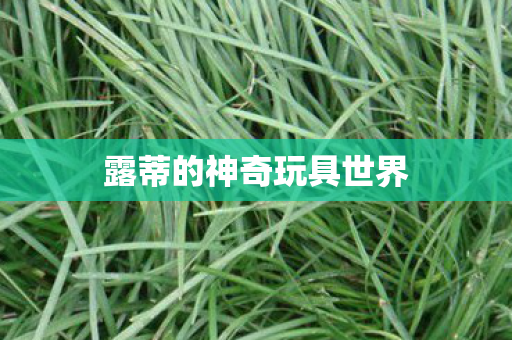 露蒂的神奇玩具世界 露蒂的神奇玩具世界