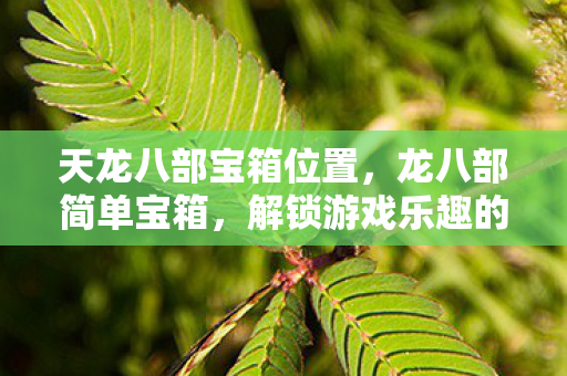 天龙八部宝箱位置,龙八部简单宝箱,解锁游戏乐趣的便捷途径 天龙八部宝箱位置,龙八部简单宝箱,解锁游戏乐趣的便捷途径