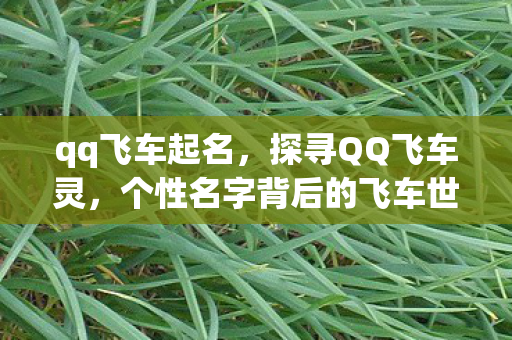 qq飞车起名,探寻QQ飞车灵,个性名字背后的飞车世界 qq飞车起名,探寻QQ飞车灵,个性名字背后的飞车世界