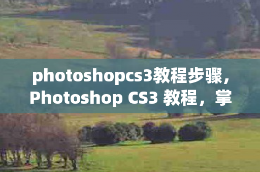 photoshopcs3教程步骤,Photoshop CS3 教程,掌握经典工具,打造专业设计 photoshopcs3教程步骤,Photoshop CS3 教程,掌握经典工具,打造专业设计