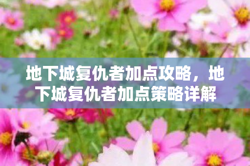 地下城复仇者加点攻略,地下城复仇者加点策略详解 地下城复仇者加点攻略,地下城复仇者加点策略详解