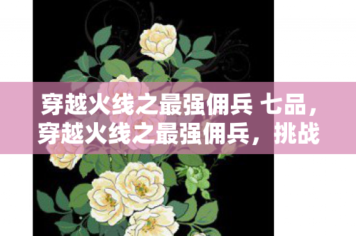 穿越火线之最强佣兵 七品,穿越火线之最强佣兵,挑战与荣耀的征途 穿越火线之最强佣兵 七品,穿越火线之最强佣兵,挑战与荣耀的征途