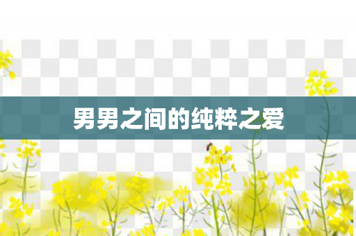 男男之间的纯粹之爱 男男之间的纯粹之爱