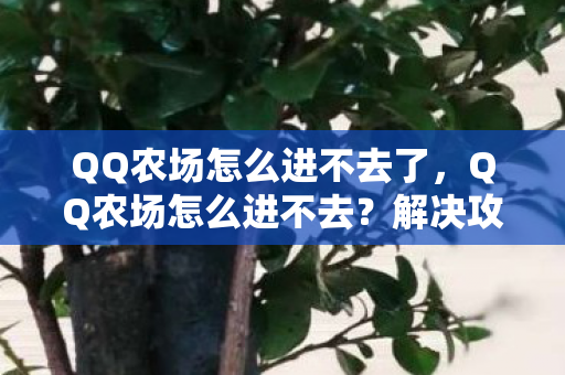 QQ农场怎么进不去了,QQ农场怎么进不去?解决攻略大放送! QQ农场怎么进不去了,QQ农场怎么进不去?解决攻略大放送!