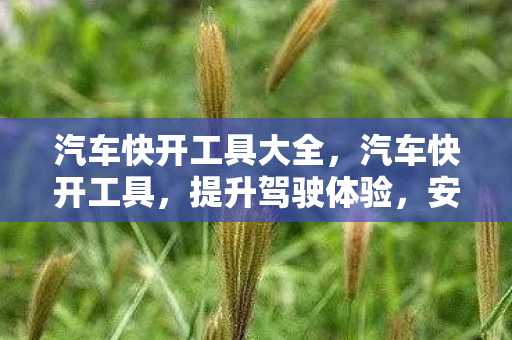 汽车快开工具大全,汽车快开工具,提升驾驶体验,安全又高效 汽车快开工具大全,汽车快开工具,提升驾驶体验,安全又高效