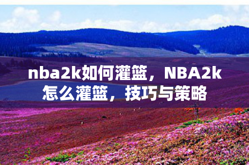 nba2k如何灌篮,NBA2k怎么灌篮,技巧与策略 nba2k如何灌篮,NBA2k怎么灌篮,技巧与策略