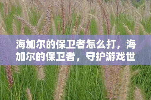 海加尔的保卫者怎么打,海加尔的保卫者,守护游戏世界的正义力量 海加尔的保卫者怎么打,海加尔的保卫者,守护游戏世界的正义力量