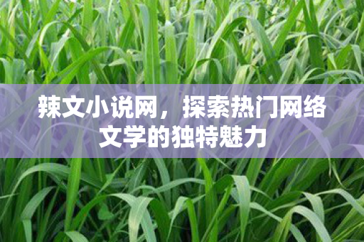 辣文小说网,探索热门网络文学的独特魅力 辣文小说网,探索热门网络文学的独特魅力