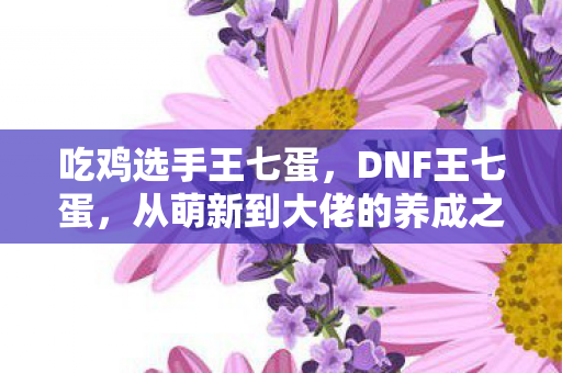 吃鸡选手王七蛋,DNF王七蛋,从萌新到大佬的养成之路 吃鸡选手王七蛋,DNF王七蛋,从萌新到大佬的养成之路