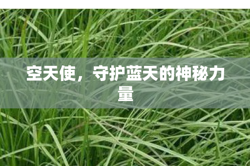 空天使，守护蓝天的神秘力量