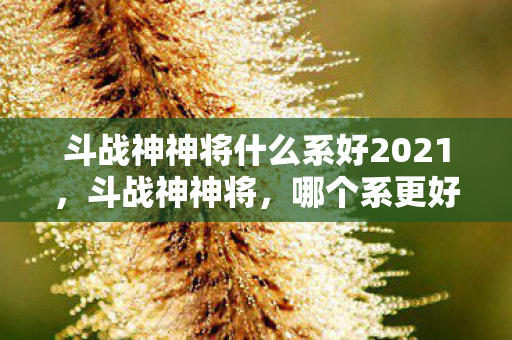斗战神神将什么系好2021,斗战神神将,哪个系更好? 斗战神神将什么系好2021,斗战神神将,哪个系更好?