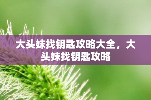 大头妹找钥匙攻略大全，大头妹找钥匙攻略