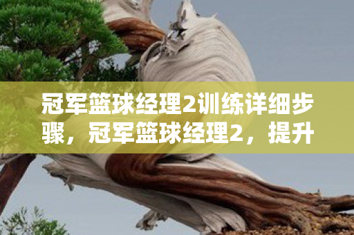 冠军篮球经理2训练详细步骤,冠军篮球经理2,提升球队战斗力的训练秘籍 冠军篮球经理2训练详细步骤,冠军篮球经理2,提升球队战斗力的训练秘籍