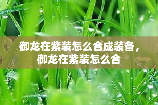 御龙在紫装怎么合成装备,御龙在紫装怎么合 御龙在紫装怎么合成装备,御龙在紫装怎么合