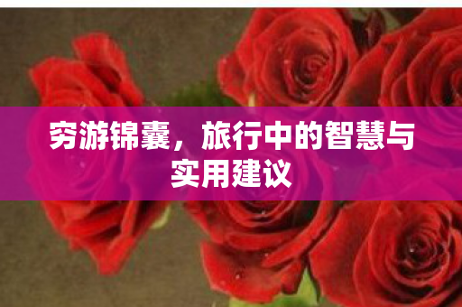 穷游锦囊，旅行中的智慧与实用建议