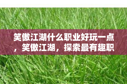 笑傲江湖什么职业好玩一点,笑傲江湖,探索最有趣职业,打造个性化江湖之旅 笑傲江湖什么职业好玩一点,笑傲江湖,探索最有趣职业,打造个性化江湖之旅