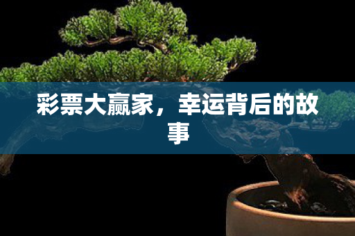 彩票大赢家,幸运背后的故事 彩票大赢家,幸运背后的故事