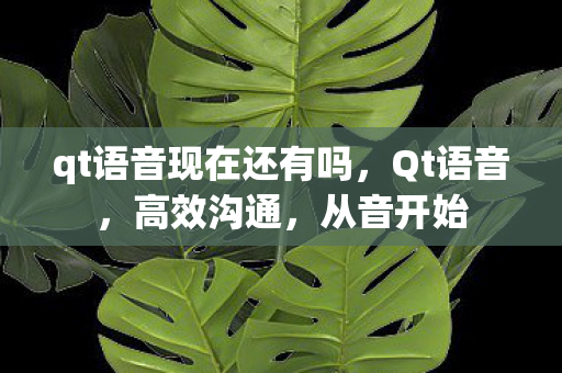 qt语音现在还有吗,Qt语音,高效沟通,从音开始 qt语音现在还有吗,Qt语音,高效沟通,从音开始
