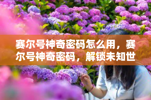 赛尔号神奇密码怎么用,赛尔号神奇密码,解锁未知世界的神秘钥匙 赛尔号神奇密码怎么用,赛尔号神奇密码,解锁未知世界的神秘钥匙