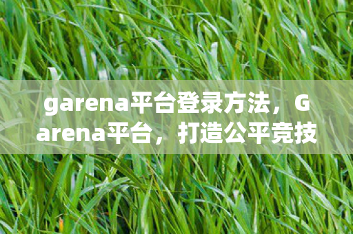 garena平台登录方法图片