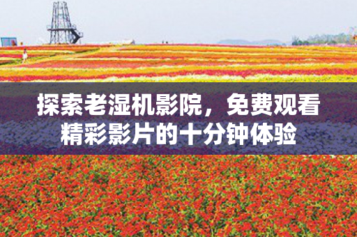 探索老湿机影院,免费观看精彩影片的十分钟体验 探索老湿机影院,免费观看精彩影片的十分钟体验