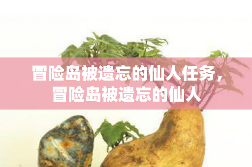 冒险岛被遗忘的仙人任务，冒险岛被遗忘的仙人