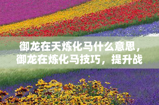 御龙在天炼化马什么意思,御龙在炼化马技巧,提升战马品质与实力的关键步骤 御龙在天炼化马什么意思,御龙在炼化马技巧,提升战马品质与实力的关键步骤