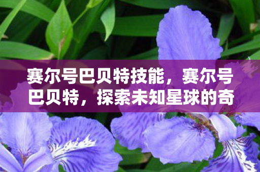 赛尔号巴贝特技能，赛尔号巴贝特，探索未知星球的奇妙之旅