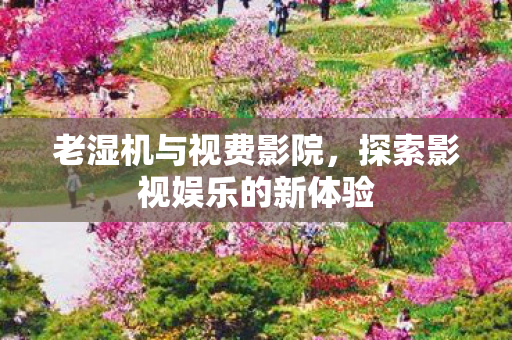 老湿机与视费影院,探索影视娱乐的新体验 老湿机与视费影院,探索影视娱乐的新体验