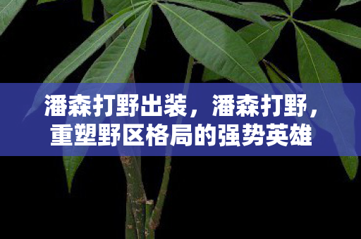 潘森打野出装,潘森打野,重塑野区格局的强势英雄 潘森打野出装,潘森打野,重塑野区格局的强势英雄