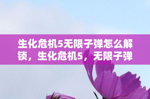 生化危机5无限子弹怎么解锁,生化危机5,无限子弹的传奇之旅 生化危机5无限子弹怎么解锁,生化危机5,无限子弹的传奇之旅