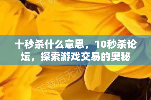 十秒杀什么意思,10秒杀论坛,探索游戏交易的奥秘 十秒杀什么意思,10秒杀论坛,探索游戏交易的奥秘
