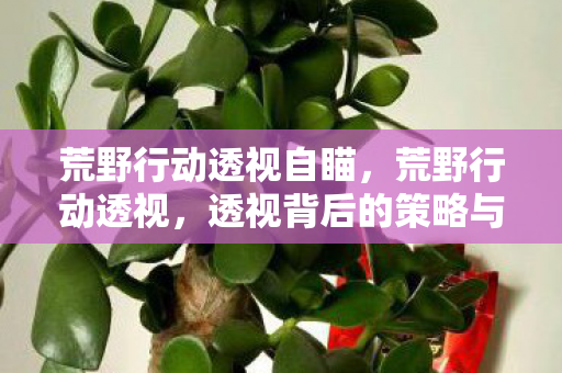 荒野行动透视自瞄,荒野行动透视,透视背后的策略与技巧 荒野行动透视自瞄,荒野行动透视,透视背后的策略与技巧