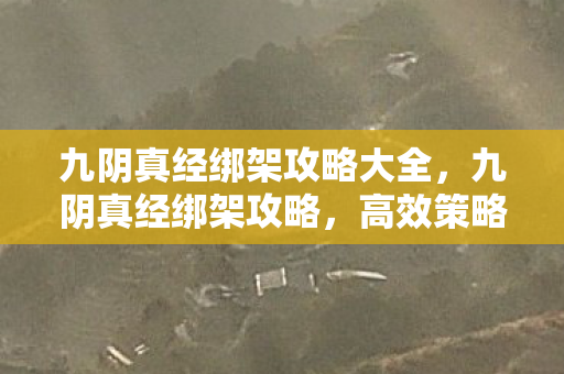 九阴真经绑架攻略大全,九阴真经绑架攻略,高效策略与技巧 九阴真经绑架攻略大全,九阴真经绑架攻略,高效策略与技巧